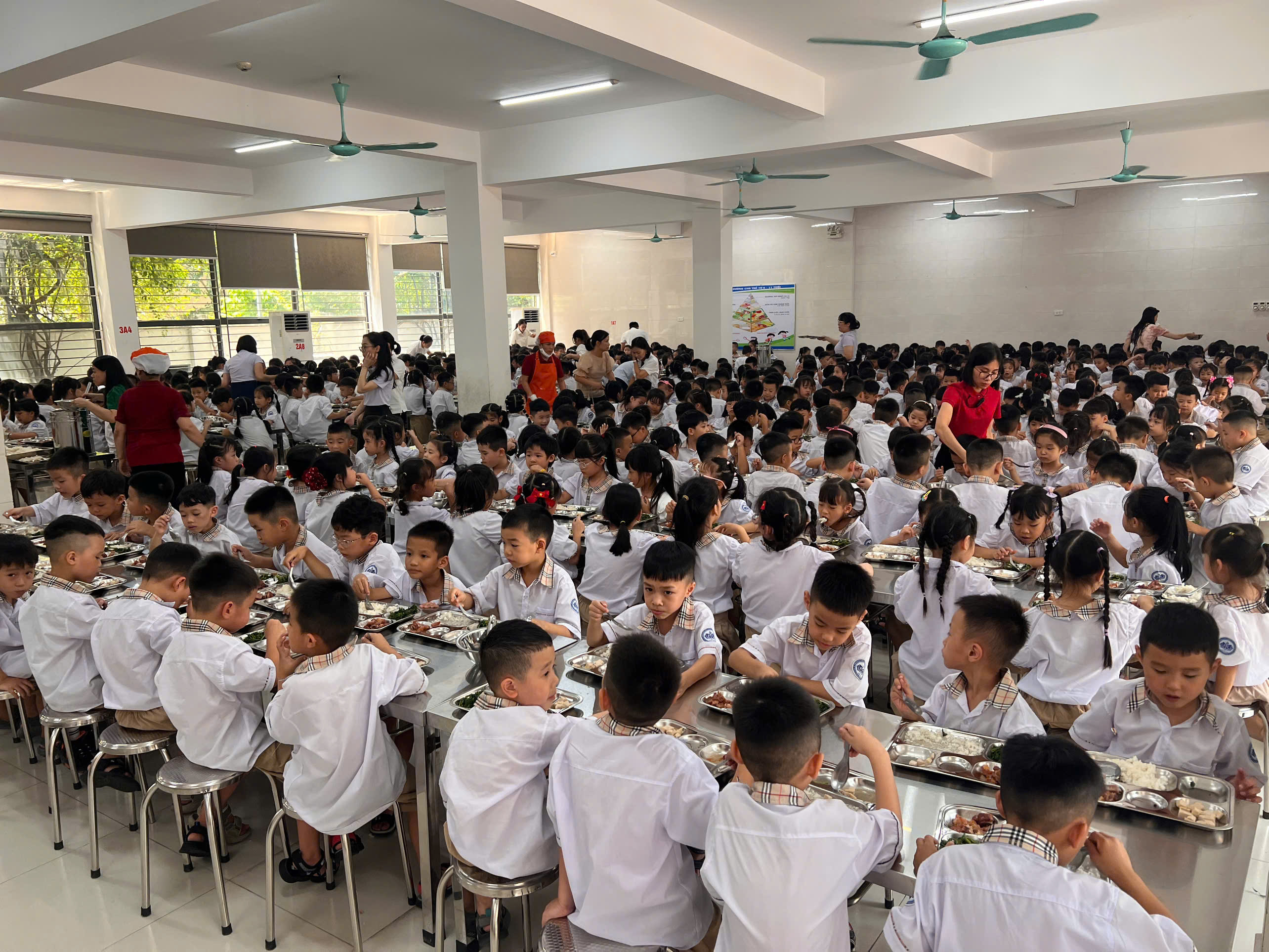 Suất ăn trường học mầm non khác gì tiểu học? Những điểm khác biệt quan trọng mà phụ huynh cần biết